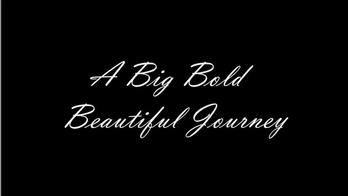 movie poster showing white text reading 'A Big Bold Beautiful Journey'