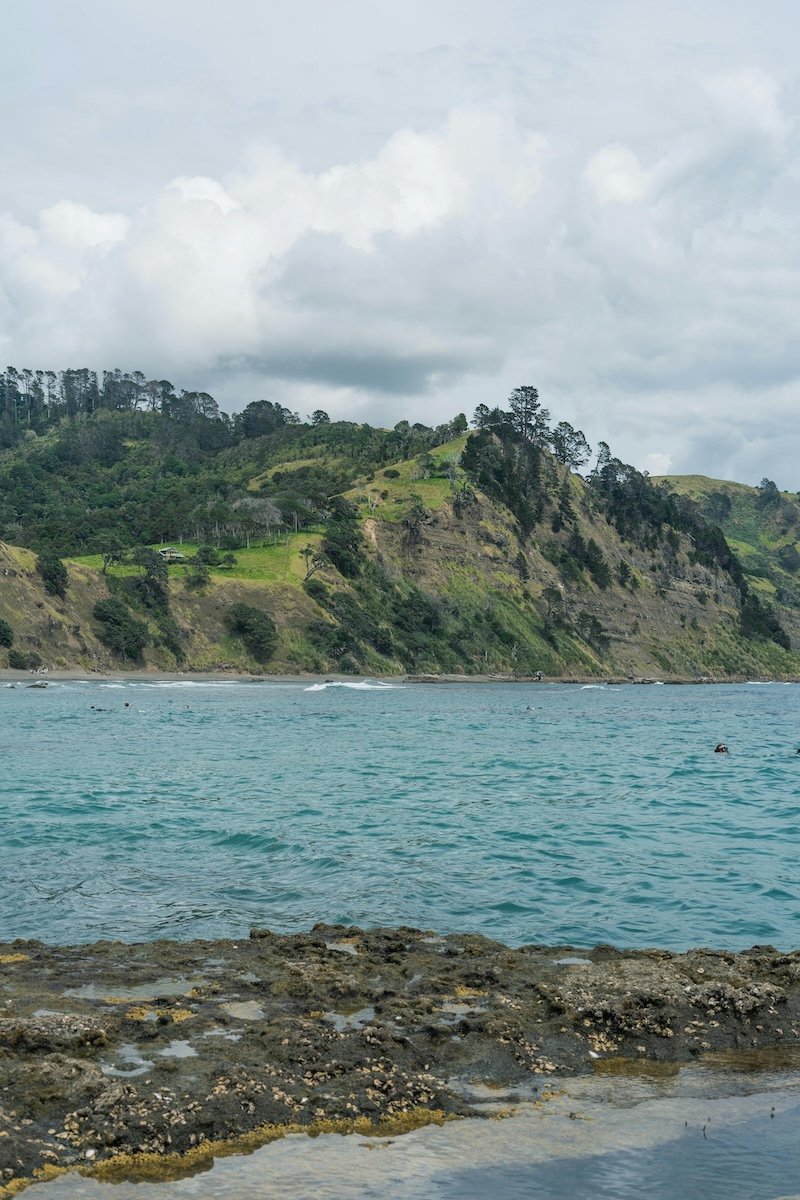 Image of Woodhill Forest in New Zealand