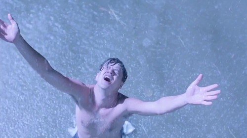 Film still from The Shawshank Redemption (1994), featuring Andy, shirtless, in heavy rain